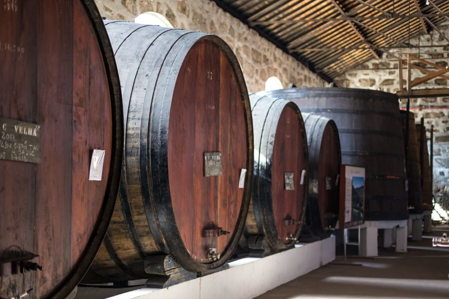 Porto: City Train Tour, River Cruise & Wine Cellar - How much value do you get for $43?