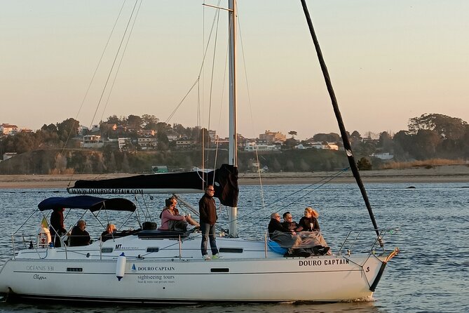 Porto: Cruzeiro privado rio douro até 8 pessoas com wine tasting - Porto and Gaia from the water
