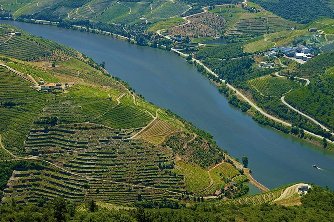 Porto: Day Trip to Douro including lunch and Rivercruise - Pinhão and the Douro River cruise