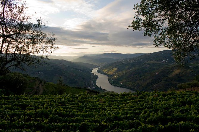 Porto: Day Trip to Douro including lunch and Rivercruise - Guide quality and language are important