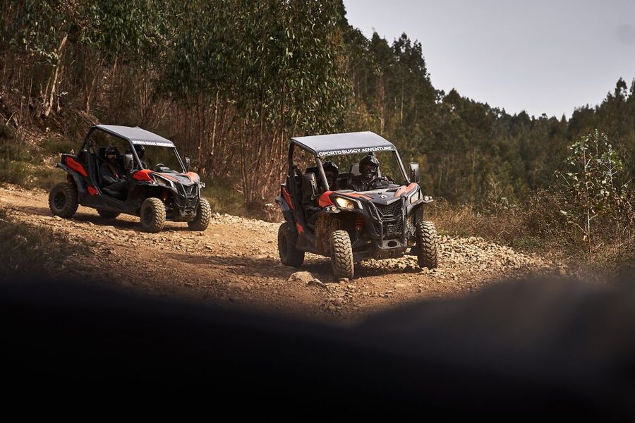 Porto: Dirt and Dust Tour by Oporto Buggy - Booking, cancellation, and timing details