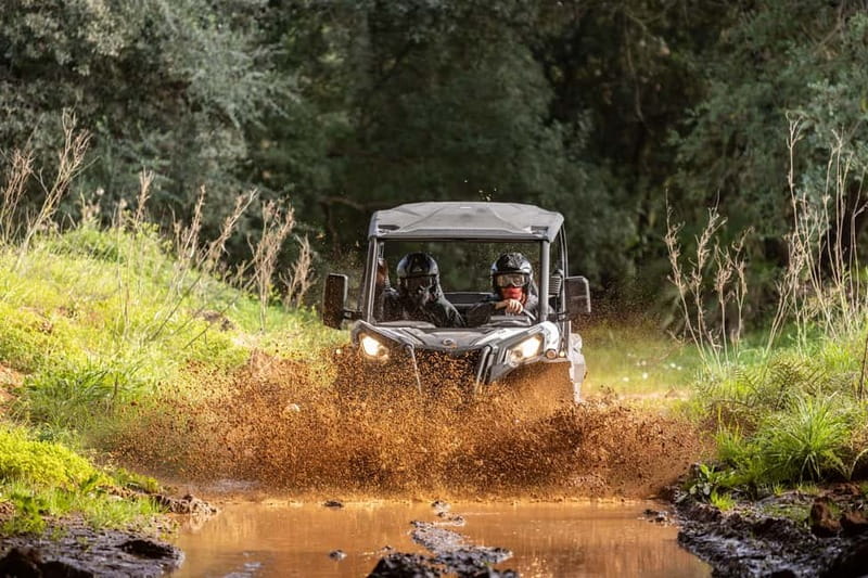Porto: Dirt and Dust Tour by Oporto Buggy - Starting in Baltar, not in central Porto