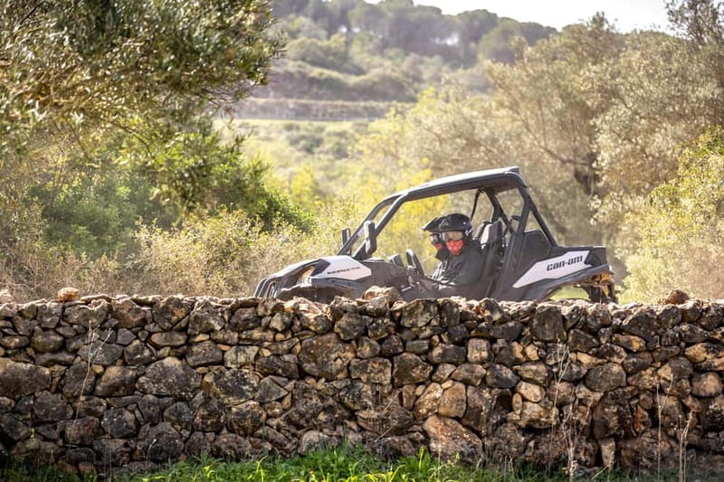 Porto: Dirt and Dust Tour by Oporto Buggy - What the guide adds to the hour
