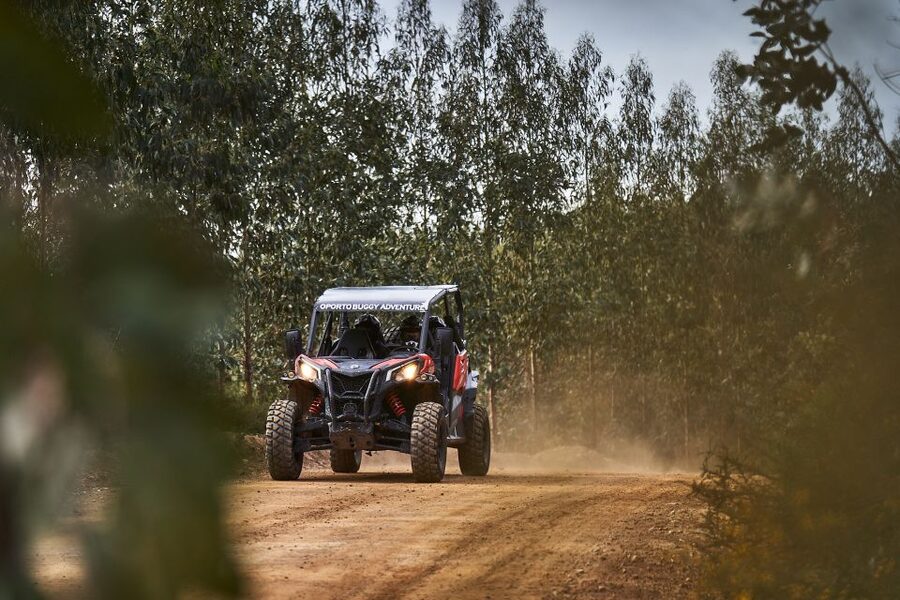 Porto: Dirt and Dust Tour by Oporto Buggy - Is $85 good value for two?