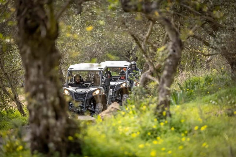 Porto: Dirt and Dust Tour by Oporto Buggy - Getting behind the wheel of a two-seat buggy
