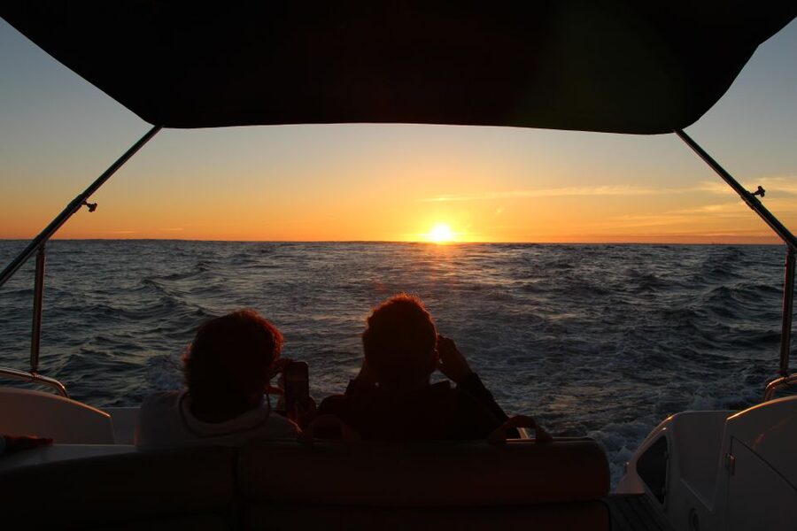 Porto - Douro Cruise with Port wine and snacks - Timing, weather, and practical planning