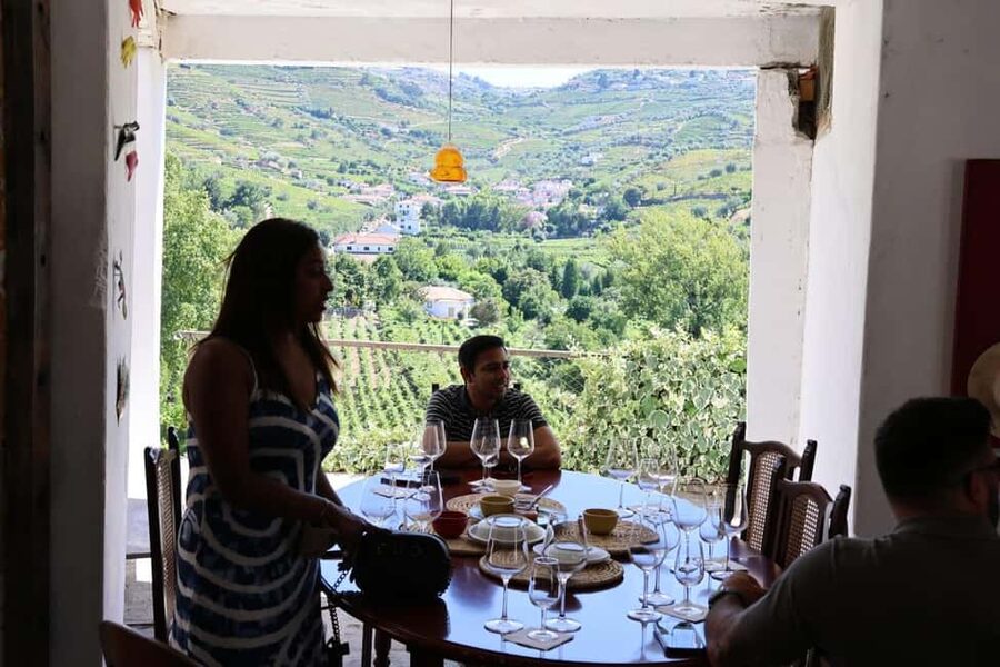 Porto: Douro Valley, 2 Wineries, Lunch, and 1-Hour Boat Tour - Guides, group size, and the feel of the day