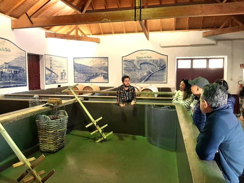 Porto: Douro Valley, 2 Wineries, Lunch & Private Boat Trip - Why this Douro day works so well