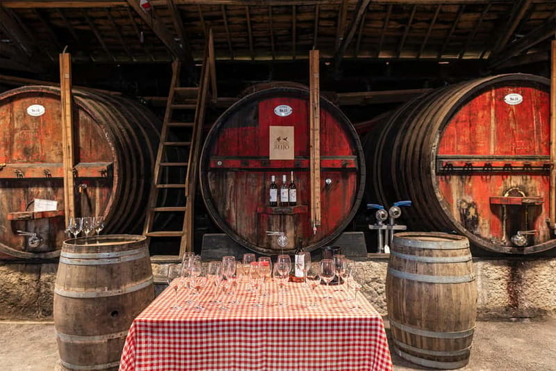 Porto: Douro Valley, 2 Wineries, Lunch & Private Boat Trip - Is $182 a fair price?
