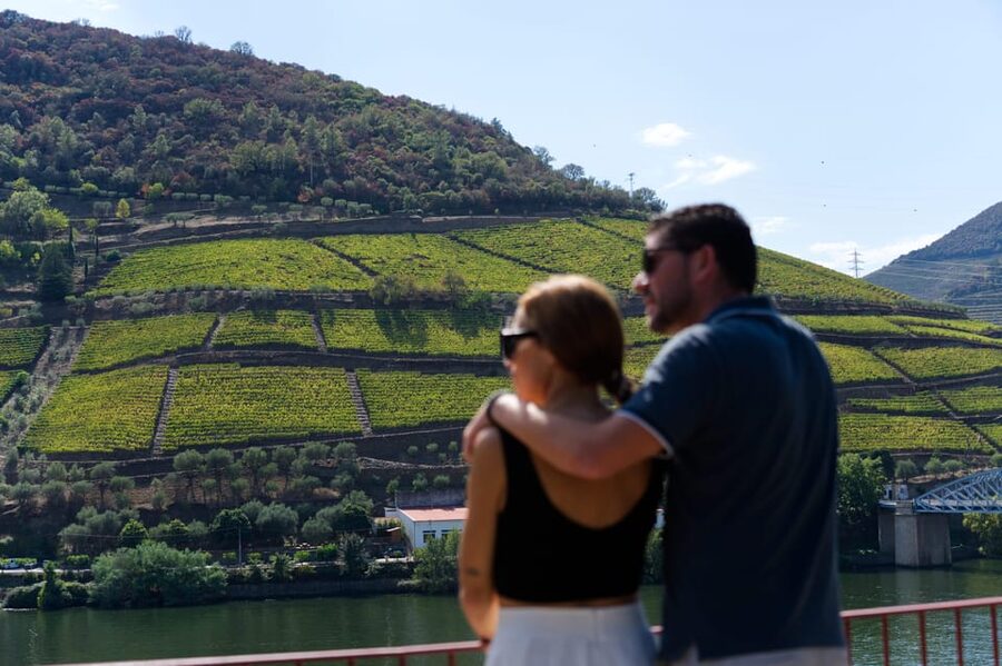 Porto: Douro Valley & Amarante Wine, Food & River Tour - The quinta visit explains what you are drinking