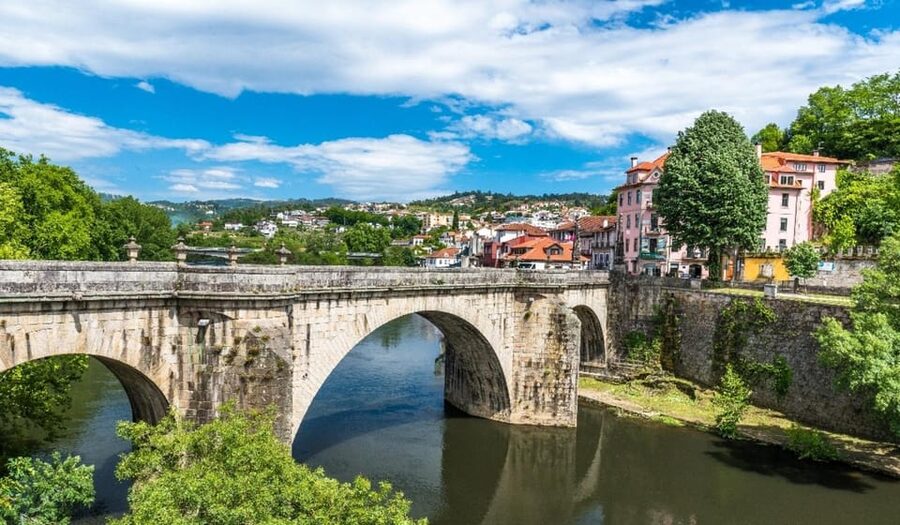 Porto: Douro Valley & Amarante Wine, Food & River Tour - The guide can make or break the day