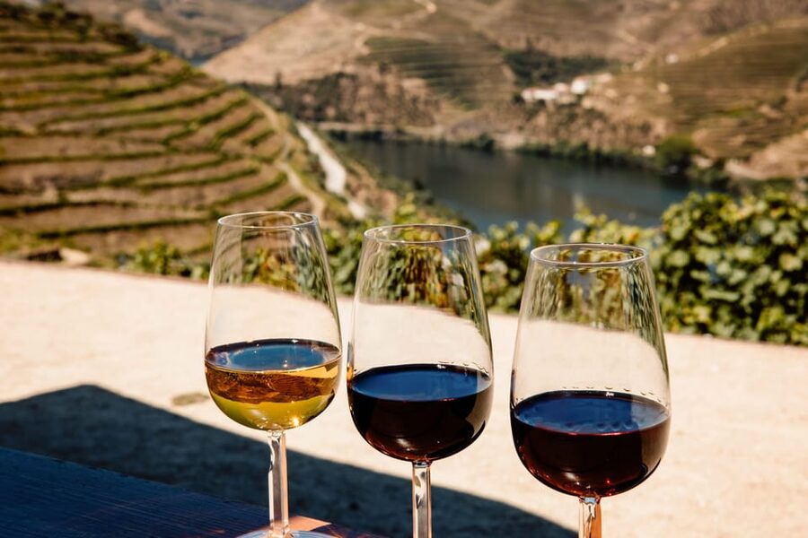 Porto: Douro Valley & Amarante Wine, Food & River Tour - The N222 drive is part of the attraction