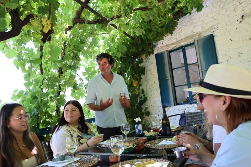Porto: DOURO VALLEY and AMARANTE City Half-day Tour - Booking tips for a smoother day