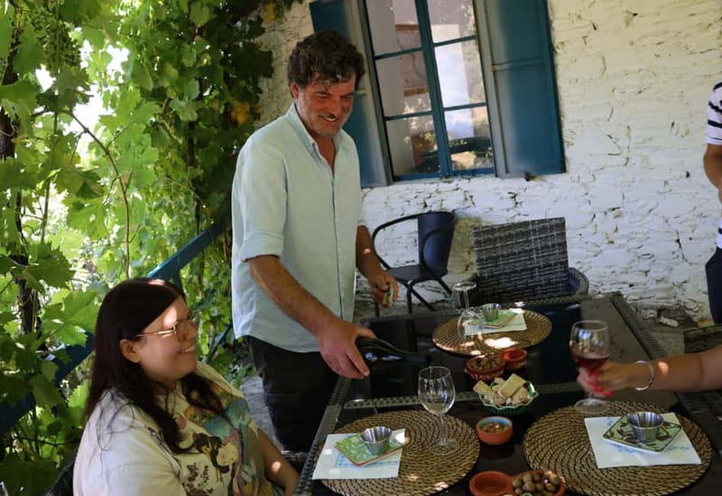 Porto: DOURO VALLEY and AMARANTE City Half-day Tour - Why this Douro and Amarante combination works