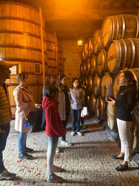 Porto: DOURO VALLEY and AMARANTE City Half-day Tour - A short visit to Amarante