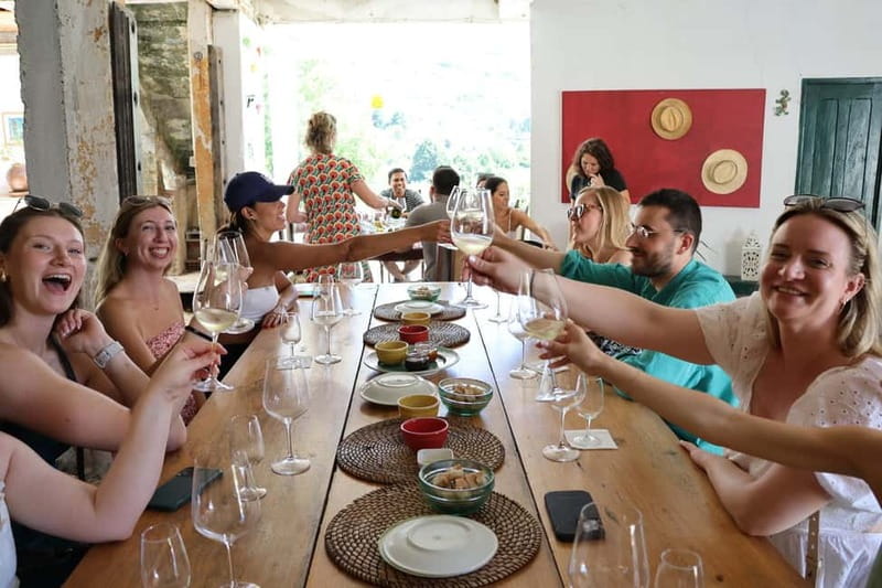 Porto: DOURO VALLEY and AMARANTE City Half-day Tour - How much value do you get for $81?