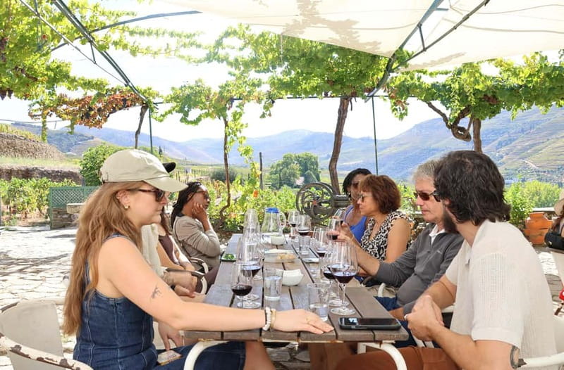 Porto: DOURO VALLEY and AMARANTE City Half-day Tour - Who should book this half-day tour?