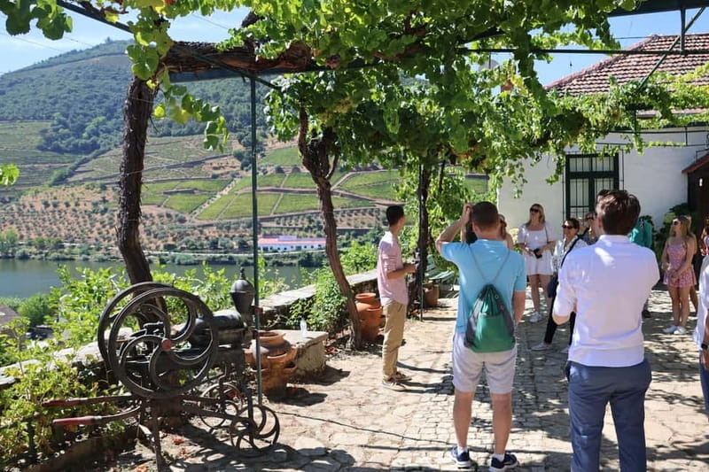 Porto: DOURO VALLEY and AMARANTE City Half-day Tour - Leaving Porto in an eight-seat van