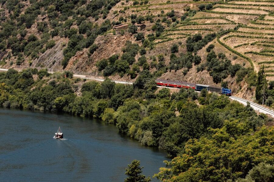 Porto: Douro Valley Full-Day Boat, Train, and Lunch Tour - Key points to know before you book