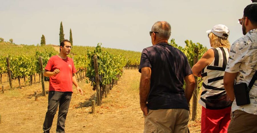 Porto: Douro Valley History & Wine Tour with Cruise & Lunch - Why this Douro Valley day works