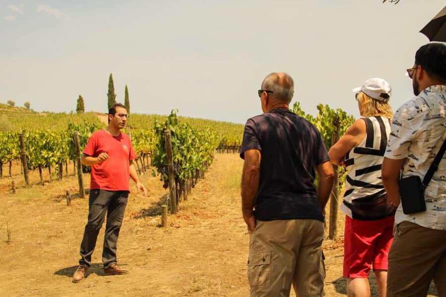 Porto: Douro Valley History & Wine Tour with Cruise & Lunch - São Leonardo da Galafura delivers the big view