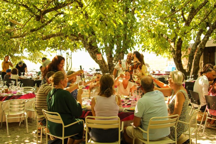 Porto: Douro Valley History & Wine Tour with Cruise & Lunch - Port wine at a working estate
