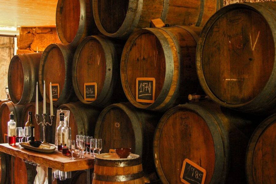 Porto: Douro Valley History & Wine Tour with Cruise & Lunch - What $104 gets you