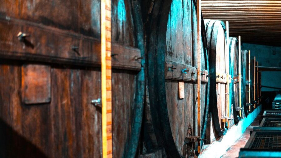 Porto: Douro Valley Private Grand Experience - Private - Practical details before you reserve