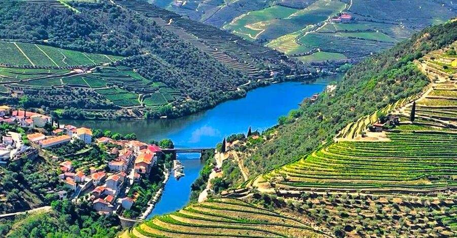 Porto: Douro Valley Private Tour 2 Vineyards & River Cruise - Key details before you book