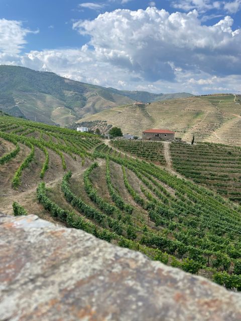 Porto: Douro Valley Private Tour 2 Vineyards & River Cruise - Why the Douro Valley works best as a full-day outing