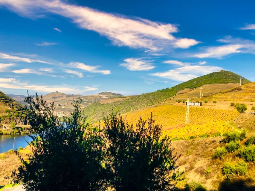 Porto: Douro Valley Private Tour 2 Vineyards & River Cruise - Sabrosa: lunch above the vineyard terraces