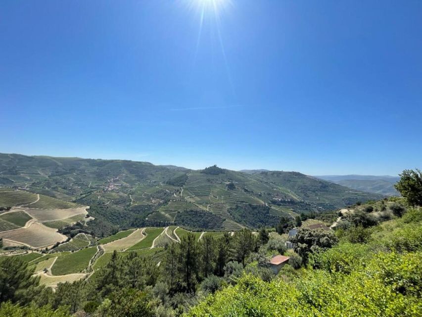 Porto: Douro Valley Private Tour 2 Vineyards & River Cruise - São Cristóvão do Douro and the photo stops