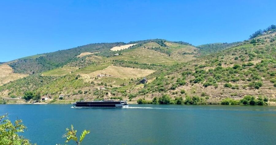 Porto: Douro Valley Private Tour 2 Vineyards & River Cruise - Guides, languages, and the feel of the day