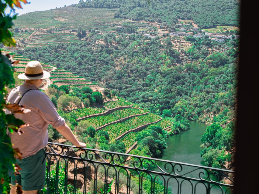 Porto: Douro Valley Private Tour, Tastings, Cruise & Lunch - Key points to know before booking