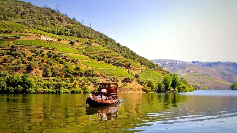 Porto: Douro Valley Tour at 2 Wineries with Lunch and Cruise - Key points worth knowing