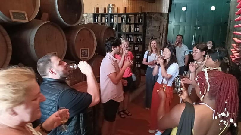 Porto: Douro Valley Tour at 2 Wineries with Lunch and Cruise - What the pace feels like