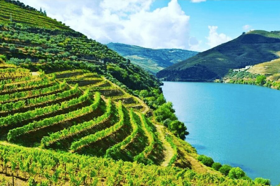 Porto: Douro Valley Tour w/ 3 Tastings, Lunch, & Opt. Cruise - Key points at a glance