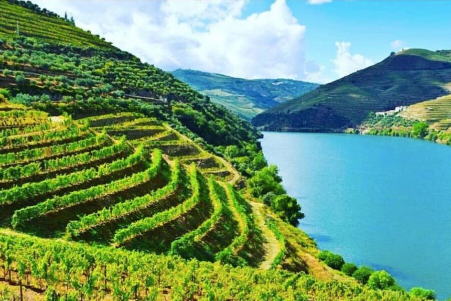 Porto: Douro Valley Tour w/ 3 Tastings, Lunch, & Opt. Cruise - Olive oil, almonds, and the local pantry