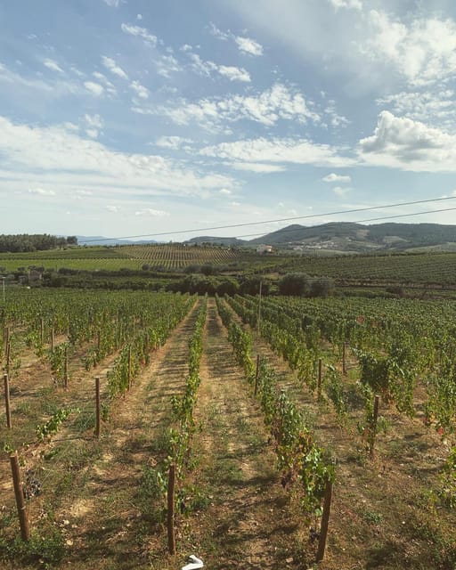 Porto: Douro Valley Tour w/ 3 Tastings, Lunch, & Opt. Cruise - Amarante and the Vinho Verde finish