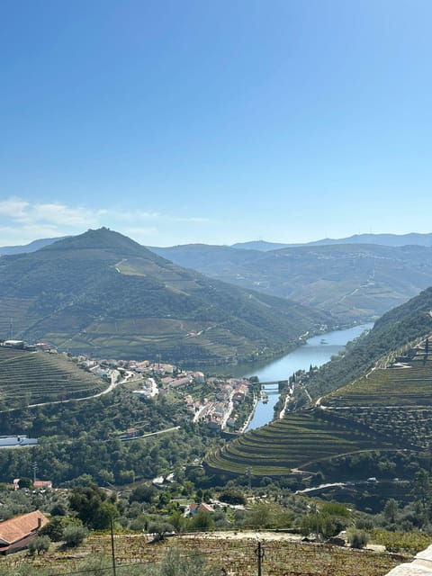 Porto: Douro Valley Tour w/ 3 Tastings, Lunch, & Opt. Cruise - The guides make a real difference