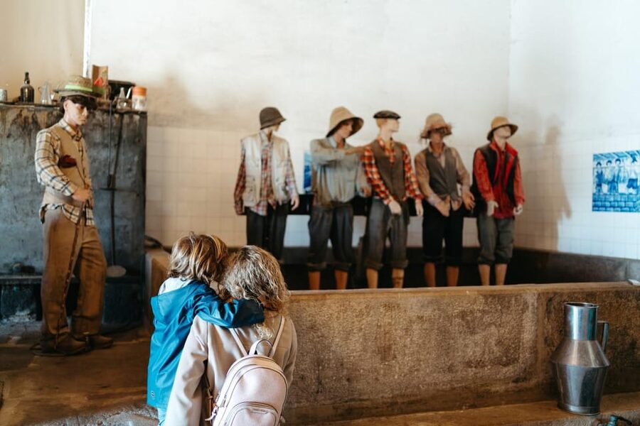 Porto: Douro Valley Tour with 2 Wineries, Lunch and Cruise - Who should book this experience?
