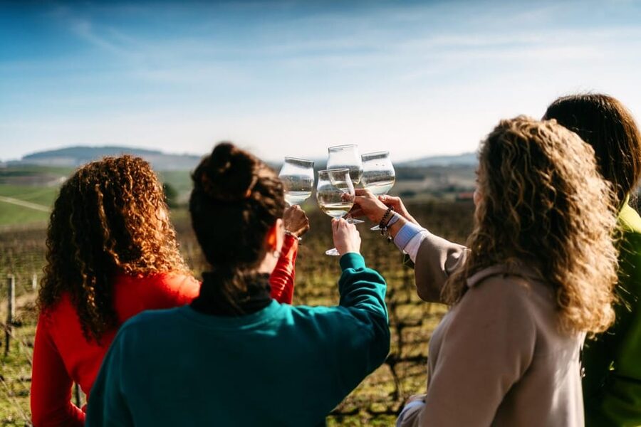 Porto: Douro Valley Tour with 2 Wineries, Lunch and Cruise - Leaving Porto in a small air-conditioned van