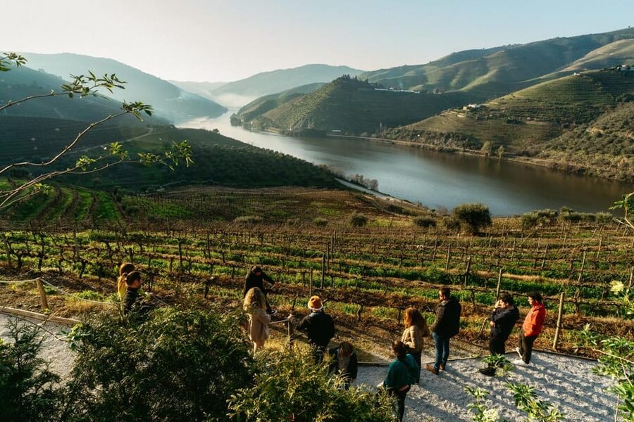 Porto: Douro Valley Tour with 2 Wineries, Lunch and Cruise - What the first winery adds to the day