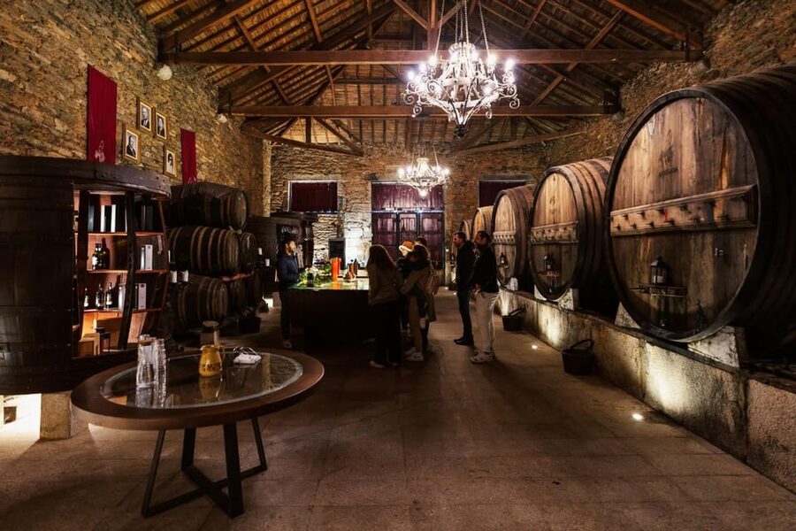 Porto: Douro Valley Tour with 2 Wineries, Lunch and Cruise - The second winery and a closer look at local wine