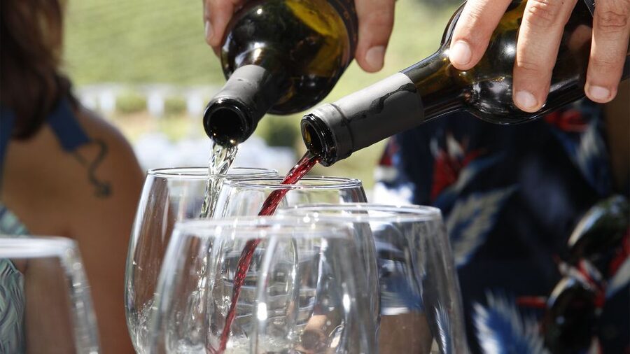 Porto: Douro Valley Tour with 3 vineyards and lunch. - Key points before you book
