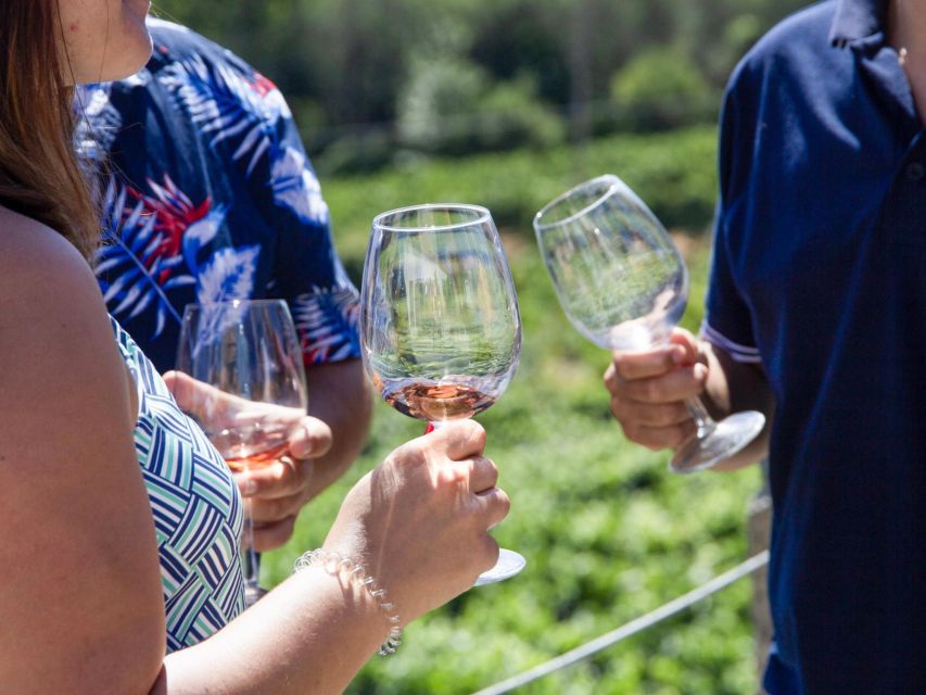 Porto: Douro Valley Tour with 3 vineyards and lunch. - Weather, clothing, and practical comfort
