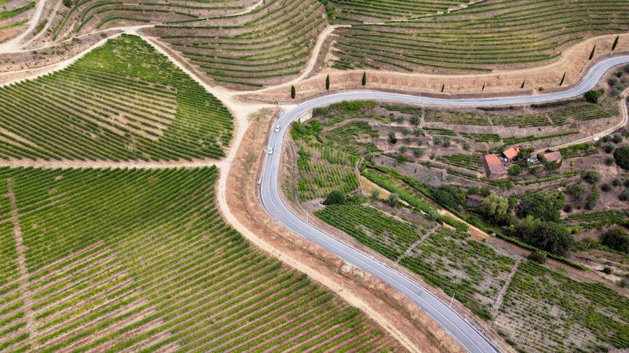 Porto: Douro Valley Tour with 3 vineyards and lunch. - Lunch in Sabrosa with local flavors