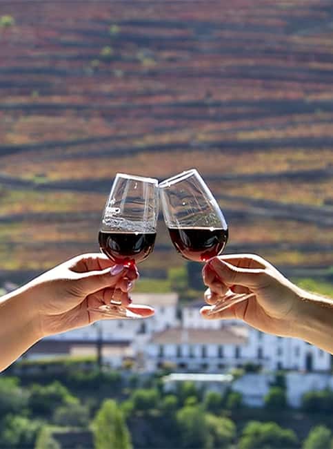 Porto: Douro Valley Tour with 3 vineyards and lunch. - Returning to Porto after a full day