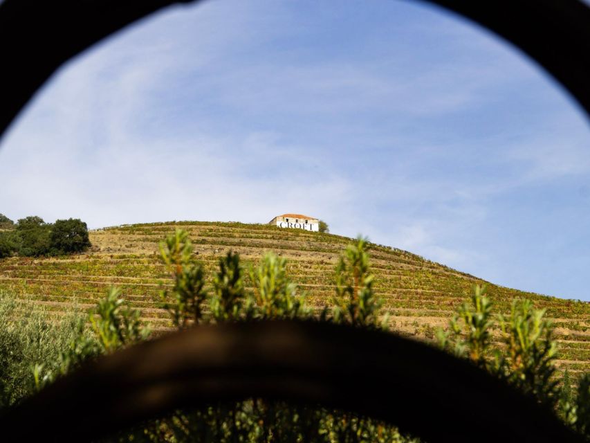 Porto: Douro Valley Tour with 3 vineyards and lunch. - Guides who shape the day