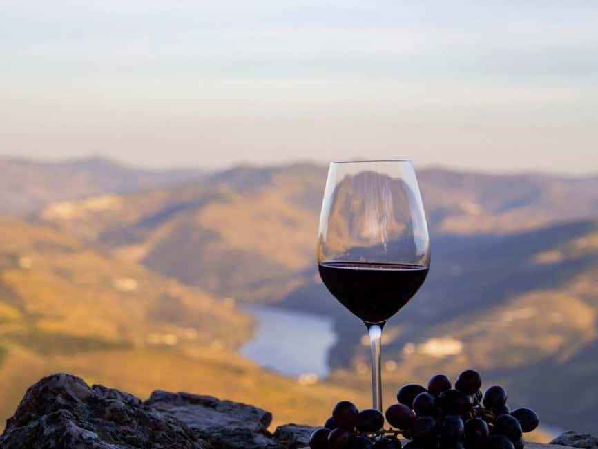Porto: Douro Valley Tour with 3 vineyards and lunch. - Is $147 good value?